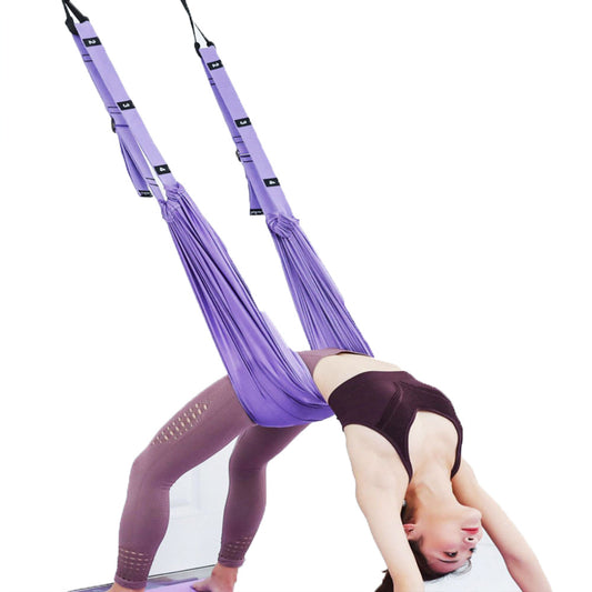 Fortis Suspend — Aerial Yoga Strap